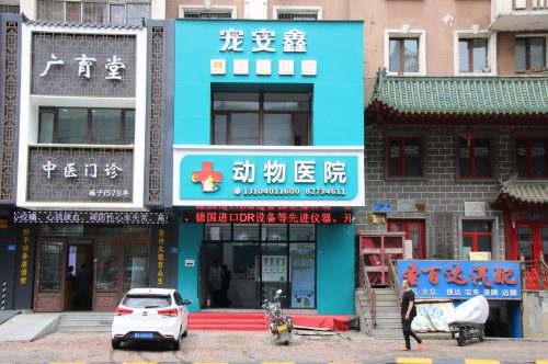 宠安鑫动物医院(哈尔滨犬证办理大厅)