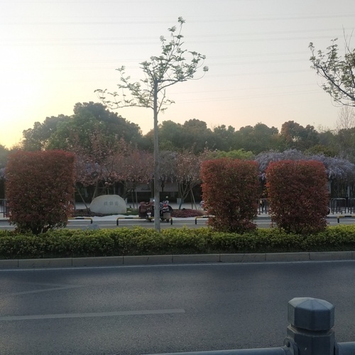 樱语园