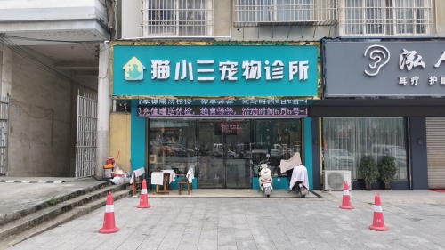 猫小三宠物诊所