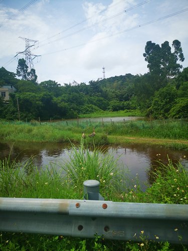 红沙群岛