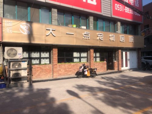 大一点宠物医院
