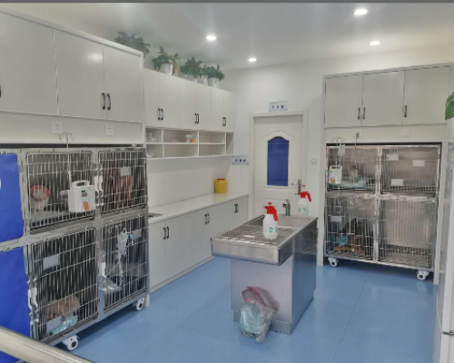 小许宠物医院