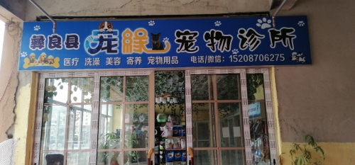 彝良县宠缘宠物诊所