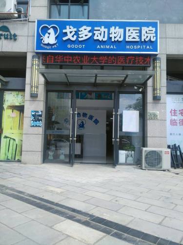 戈多动物医院