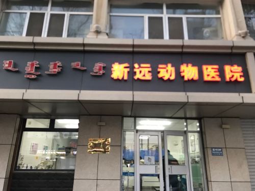 新远动物医院