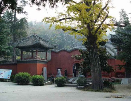 菩提寺[云南省德宏州潞西市寺庙]
