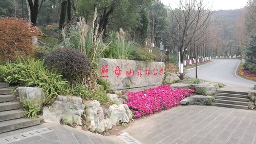 照母山森林公园