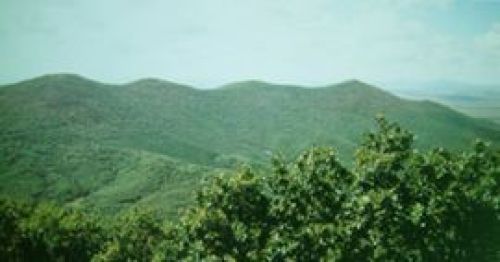 五顶山国家森林公园