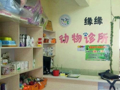 缘缘动物诊所