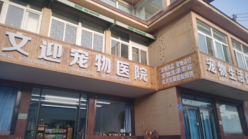 文迎宠物医院