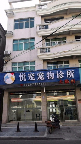 悦宠宠物诊所