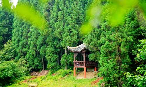 重庆黄水旅游度假区毕兹卡绿宫