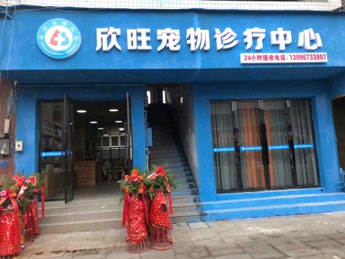 欣旺宠物诊疗中心