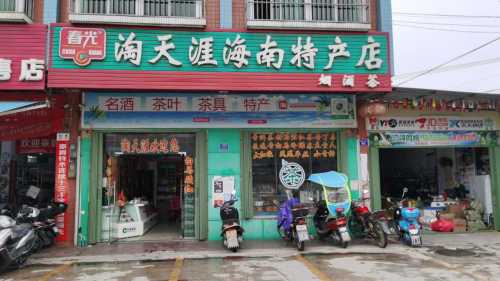 淘天涯海南特产店