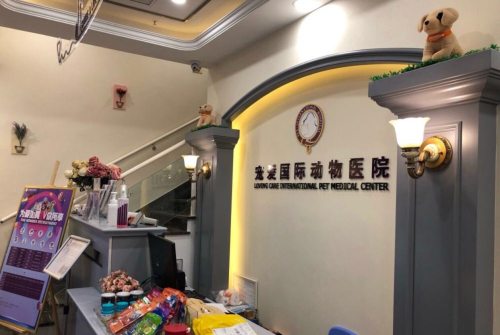 宠爱国际动物医院(金桥店)