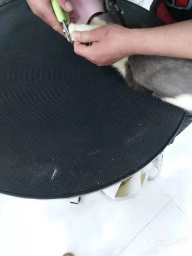 斑比宠物诊疗中心
