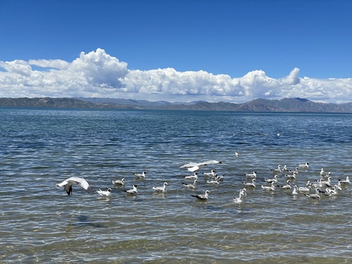 冬格措纳湖景区