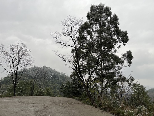 红岩广场