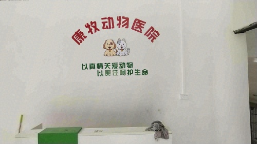 荔浦康牧动物医院