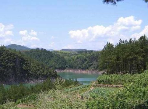 湖山森林公园