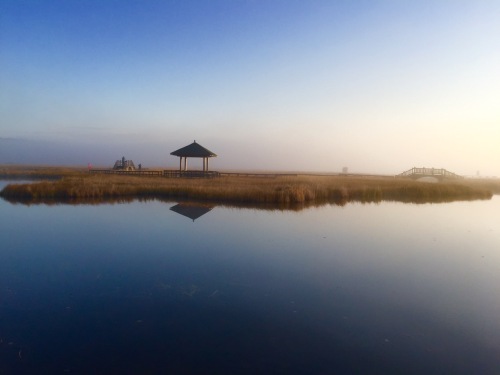 七星湖湿地公园-观景平台