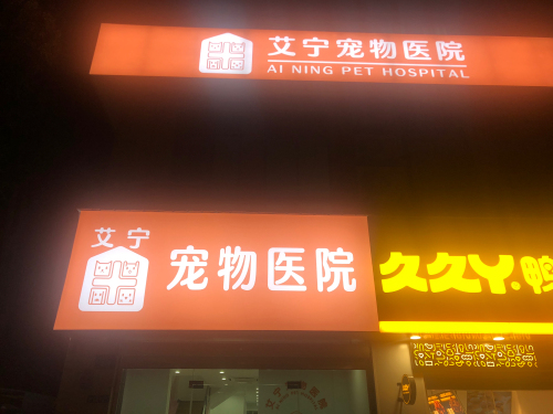 艾宁宠物医院