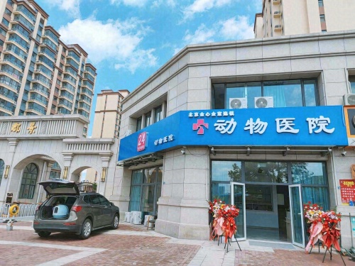北京全心全意动物医院胶南店