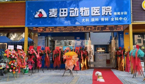 麦田动物医院塘尾分店