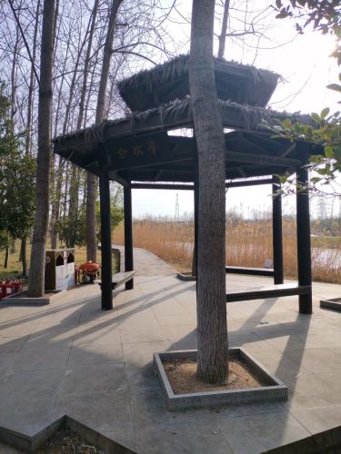 古淮河文化生态景区-合欢亭