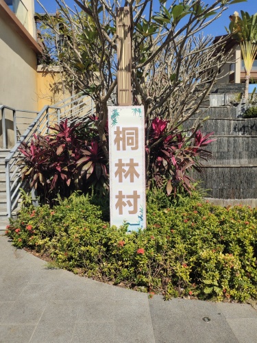 桐林村商业街