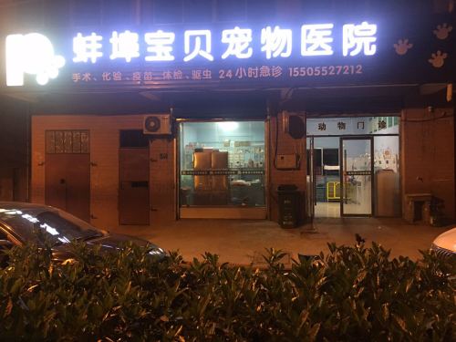 蚌埠宝贝宠物医院(治淮路店)