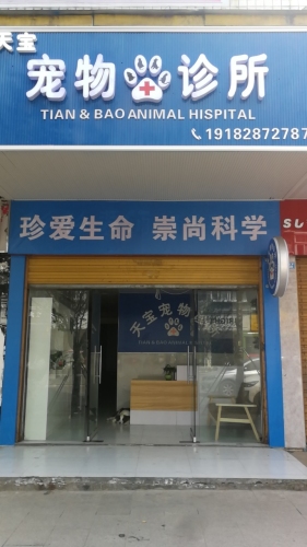 天宝宠物诊所