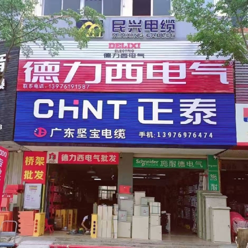 正泰德力西电气(津海店)