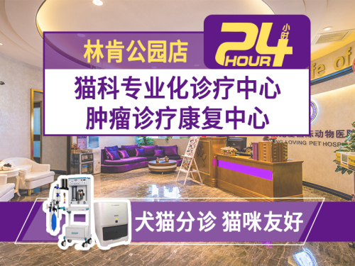 宠爱国际动物医院(林肯公园店)
