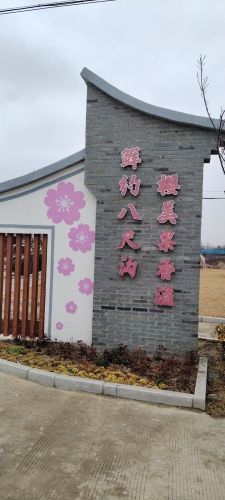 兴化市钓鱼镇八尺沟村樱花景区