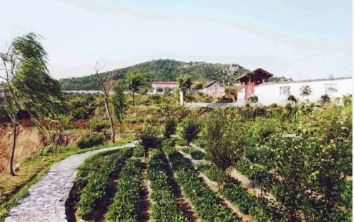 茶山园艺旅游区