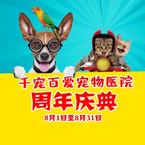 千宠百爱宠物医院