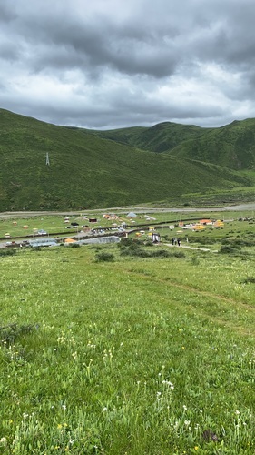 药王山野生旱獭生息园