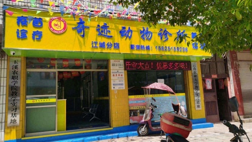 奇迹动物诊所江城分店