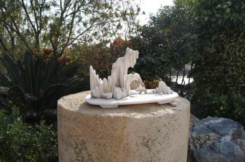 东山岛沙生植物园