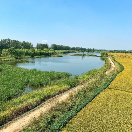 盘锦辽河绿水湾景区