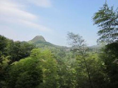 思游
