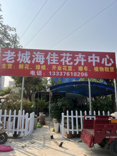 老城海佳花卉中心