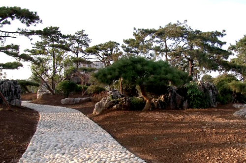 铜川植物园