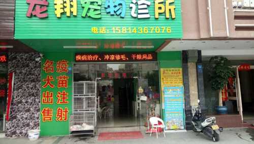 龙翔宠物诊所(石湾分店)