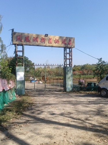 凤凰湖湿地公园