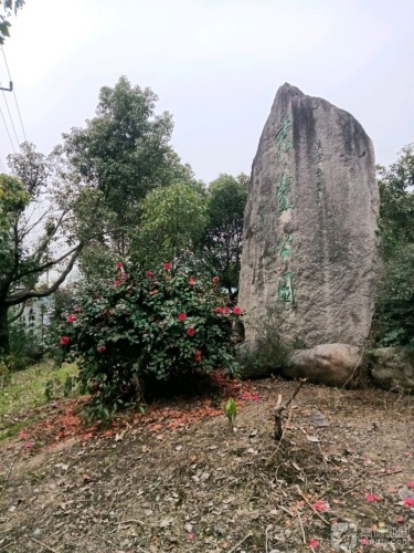 秀丰公园