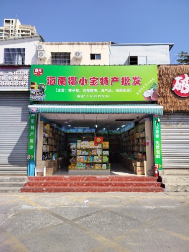 海南椰小宝特产批发店