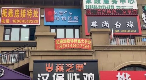 私宠动物诊所