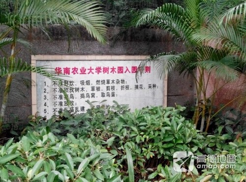 华南农业大学树木园